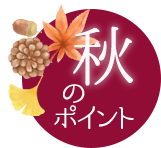 秋のポイント